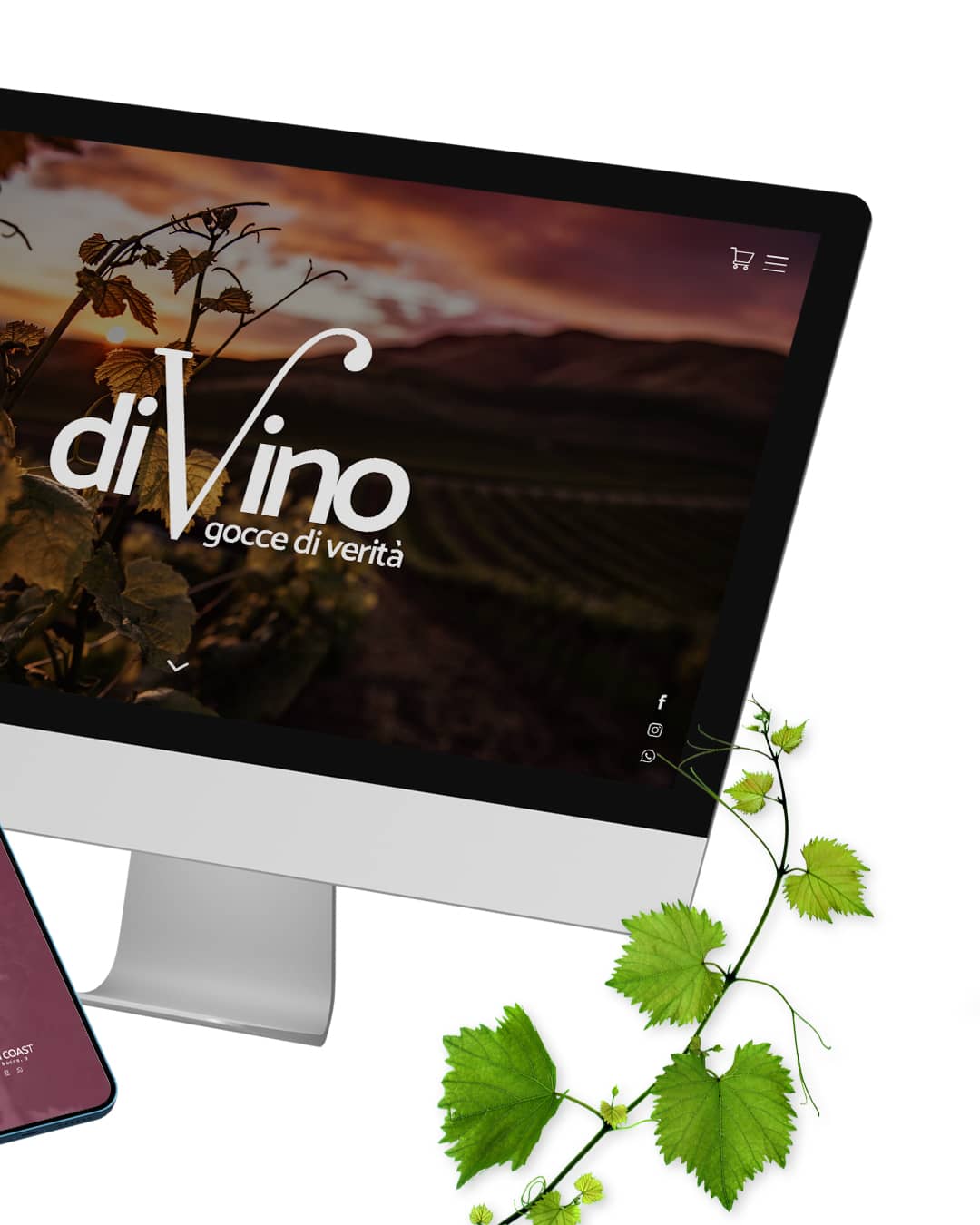 divino casa vinicola, brand design, visual design, identità visiva, sito web, logo, daniele barone